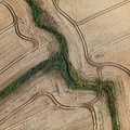 Traces