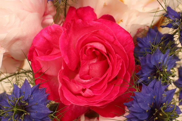 2015-06-18-09-53-34-BQ.JPG